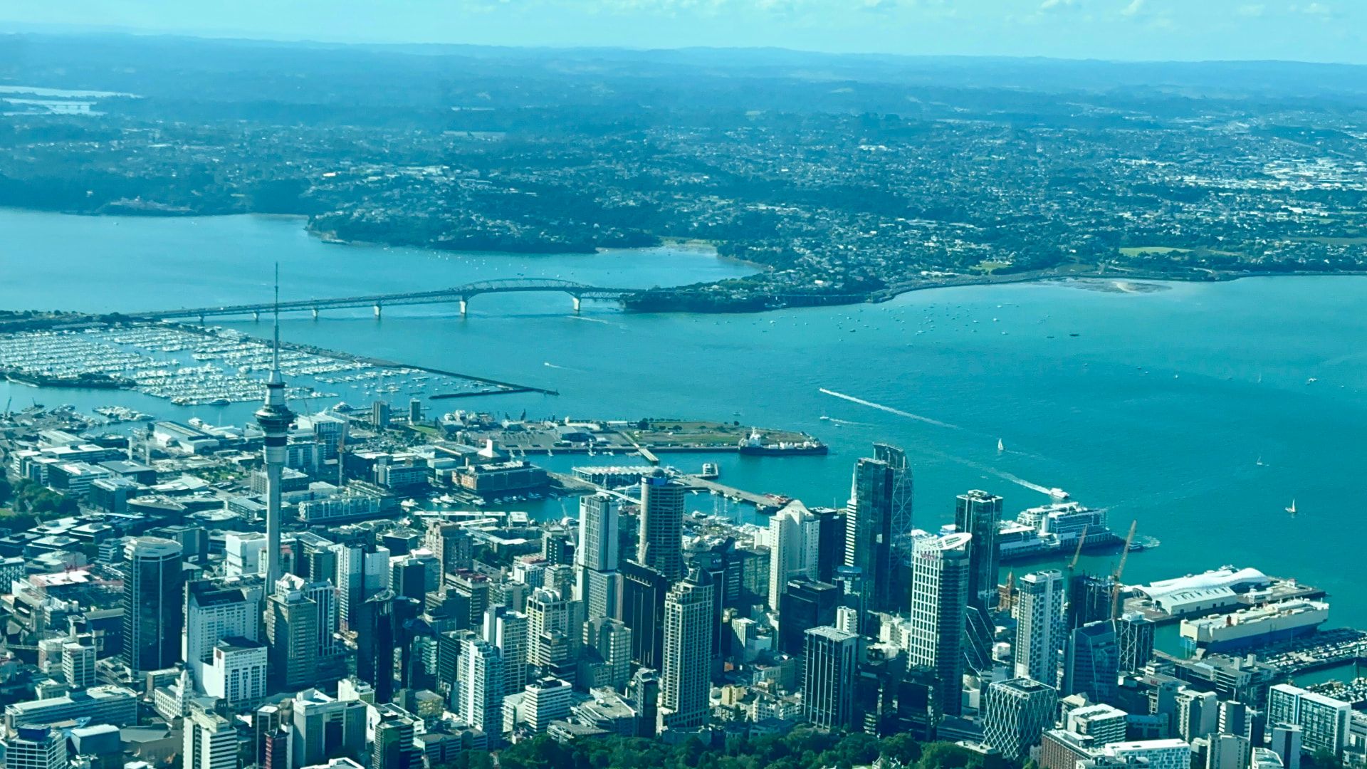 Auckland cityscape — HOCA's New Zealand headquarters